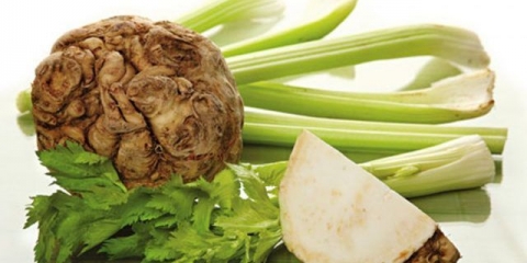 Uzgoj korijena celera